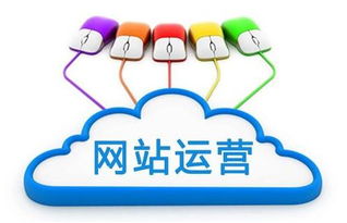 騰鴿信息 數字化浪潮下的品牌營銷策劃新范式