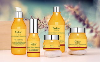 如何選擇專業的食品包裝設計公司 以上海美御包裝設計為例，解析包裝設計與市場營銷策劃的融合之道